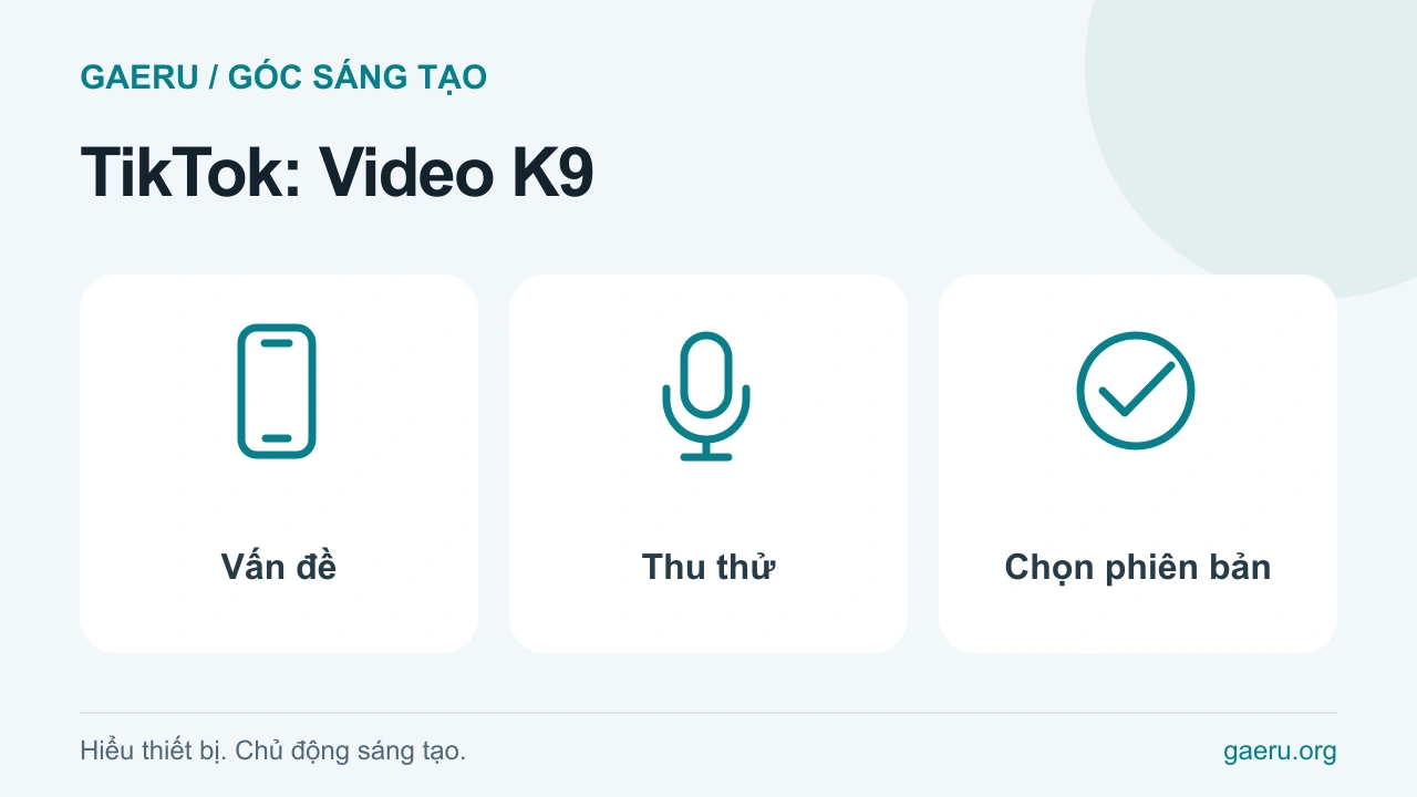 Minh họa TikTok: Video K9: Vấn đề, Thu thử, Chọn phiên bản